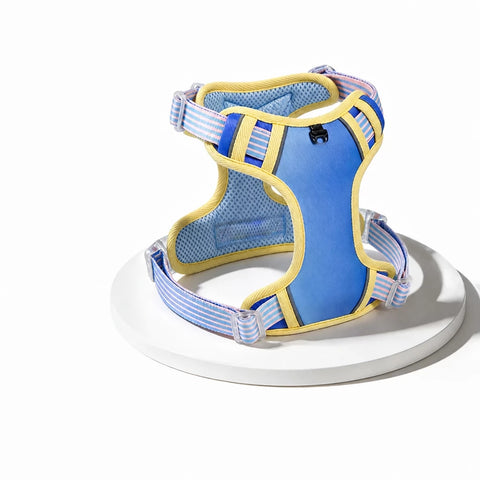 Polyester H-Style Dog Harness for Everyday Walks