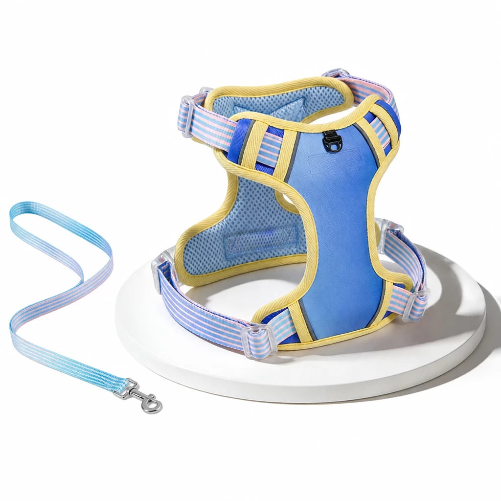 Polyester H-Style Dog Harness for Everyday Walks
