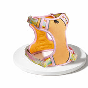 Polyester H-Style Dog Harness for Everyday Walks