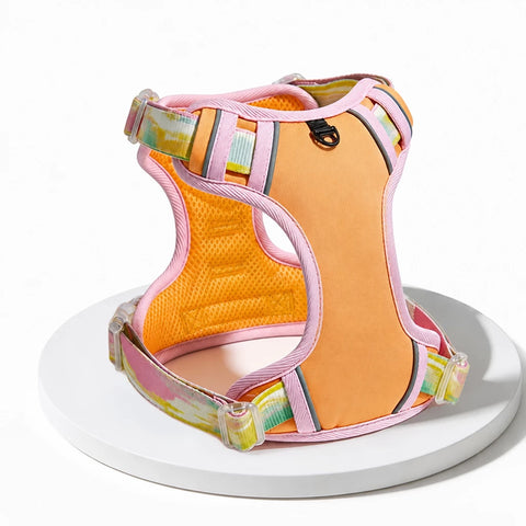 Polyester H-Style Dog Harness for Everyday Walks