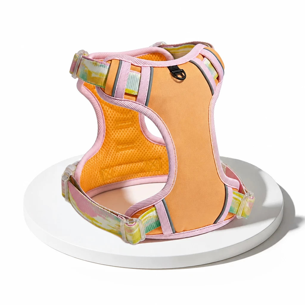 Polyester H-Style Dog Harness for Everyday Walks