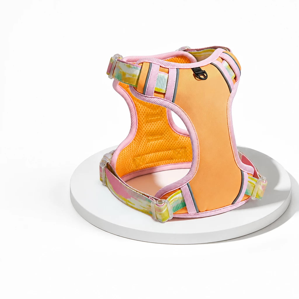 Polyester H-Style Dog Harness for Everyday Walks