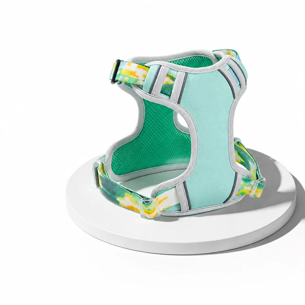 Polyester H-Style Dog Harness for Everyday Walks