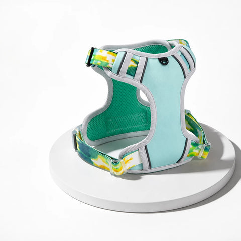 Polyester H-Style Dog Harness for Everyday Walks