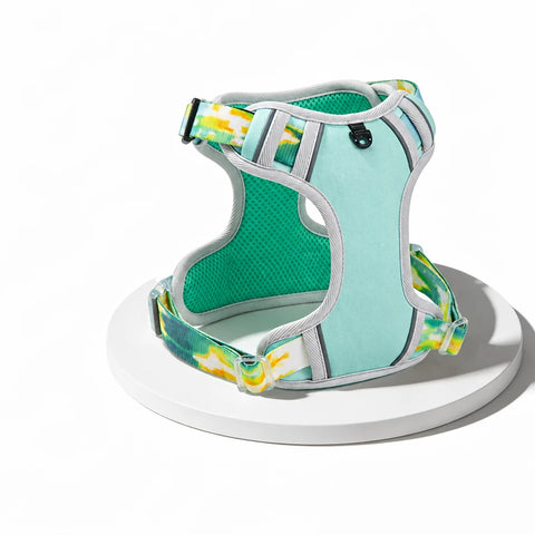 Polyester H-Style Dog Harness for Everyday Walks
