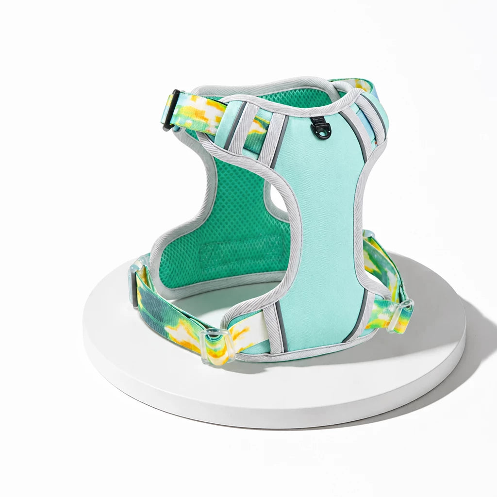 Polyester H-Style Dog Harness for Everyday Walks