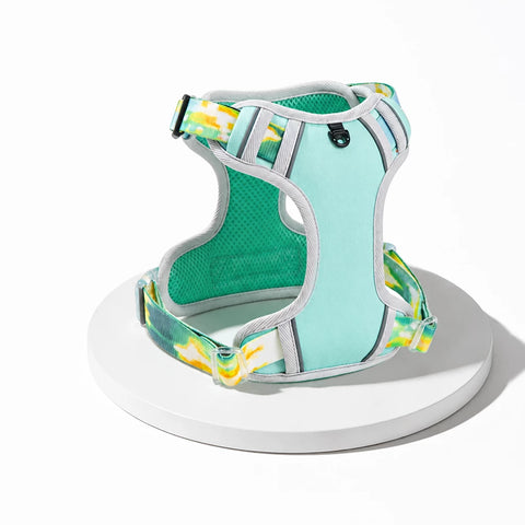 Polyester H-Style Dog Harness for Everyday Walks