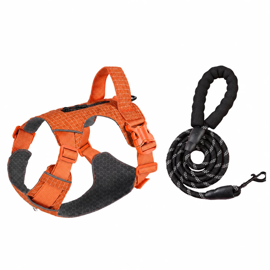 Adjustable Nylon Vest-Style Dog Harness with Matching Leash