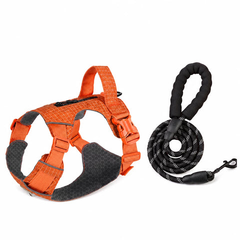 Adjustable Nylon Vest-Style Dog Harness with Matching Leash