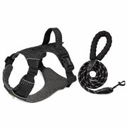 Adjustable Nylon Vest-Style Dog Harness with Matching Leash