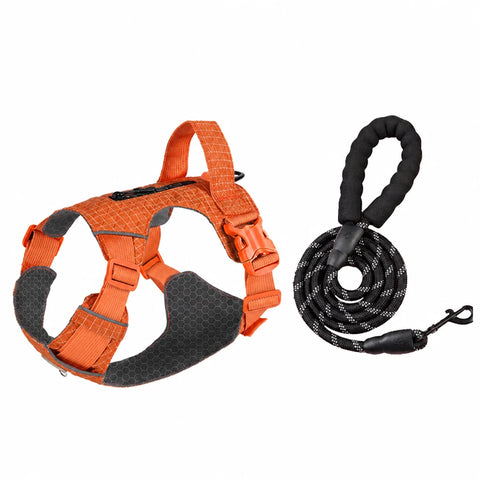 Adjustable Nylon Vest-Style Dog Harness with Matching Leash