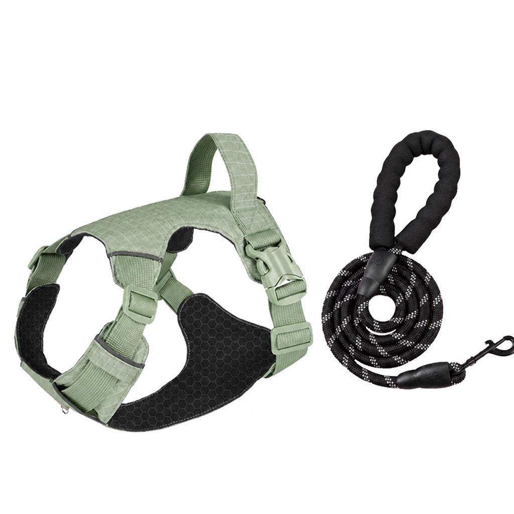 Adjustable Nylon Vest-Style Dog Harness with Matching Leash