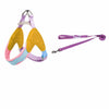 Y-Front Polyester Dog Harness with Leash for Small Dogs