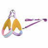 Y-Front Polyester Dog Harness with Leash for Small Dogs