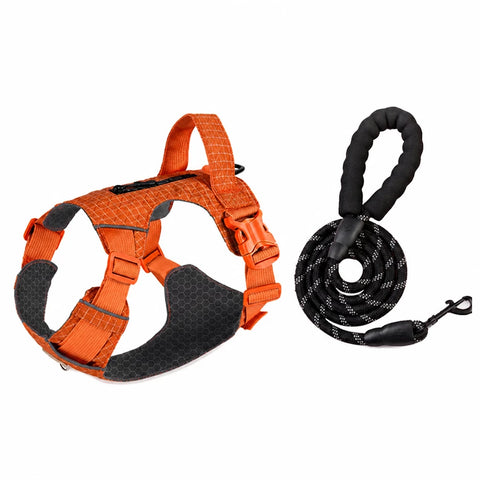 Adjustable Nylon Vest-Style Dog Harness with Matching Leash