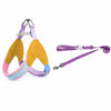 Y-Front Polyester Dog Harness with Leash for Small Dogs