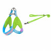 Y-Front Polyester Dog Harness with Leash for Small Dogs