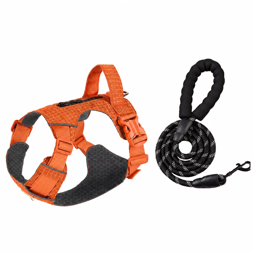 Adjustable Nylon Vest-Style Dog Harness with Matching Leash
