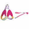Y-Front Polyester Dog Harness with Leash for Small Dogs