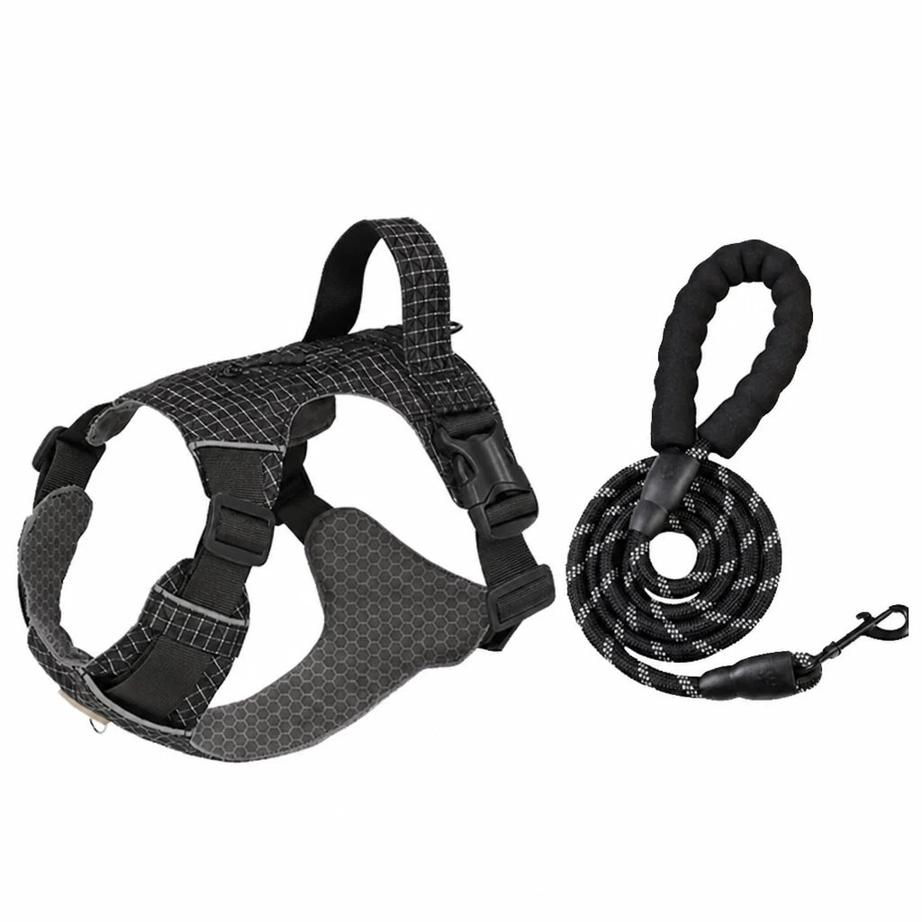Adjustable Nylon Vest-Style Dog Harness with Matching Leash