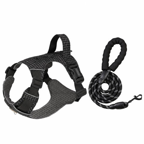Adjustable Nylon Vest-Style Dog Harness with Matching Leash