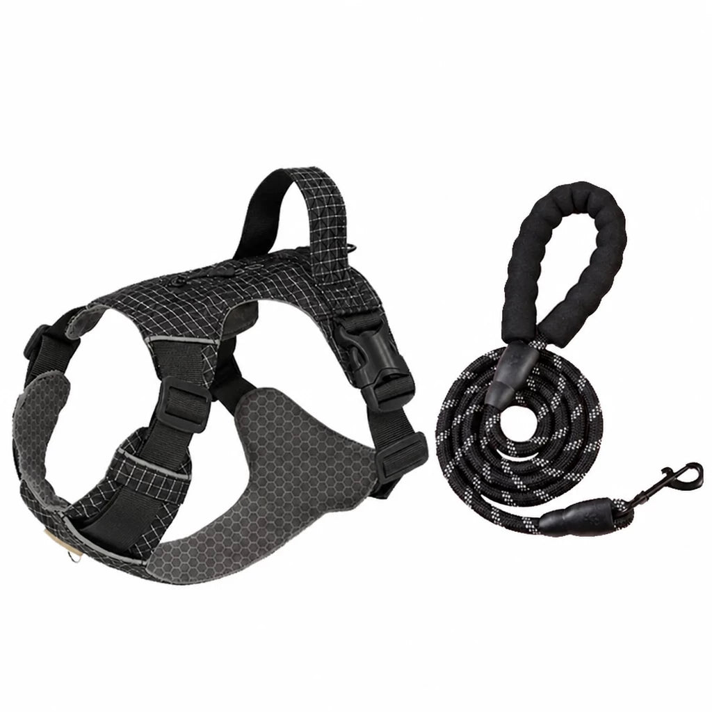Adjustable Nylon Vest-Style Dog Harness with Matching Leash