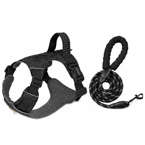 Adjustable Nylon Vest-Style Dog Harness with Matching Leash
