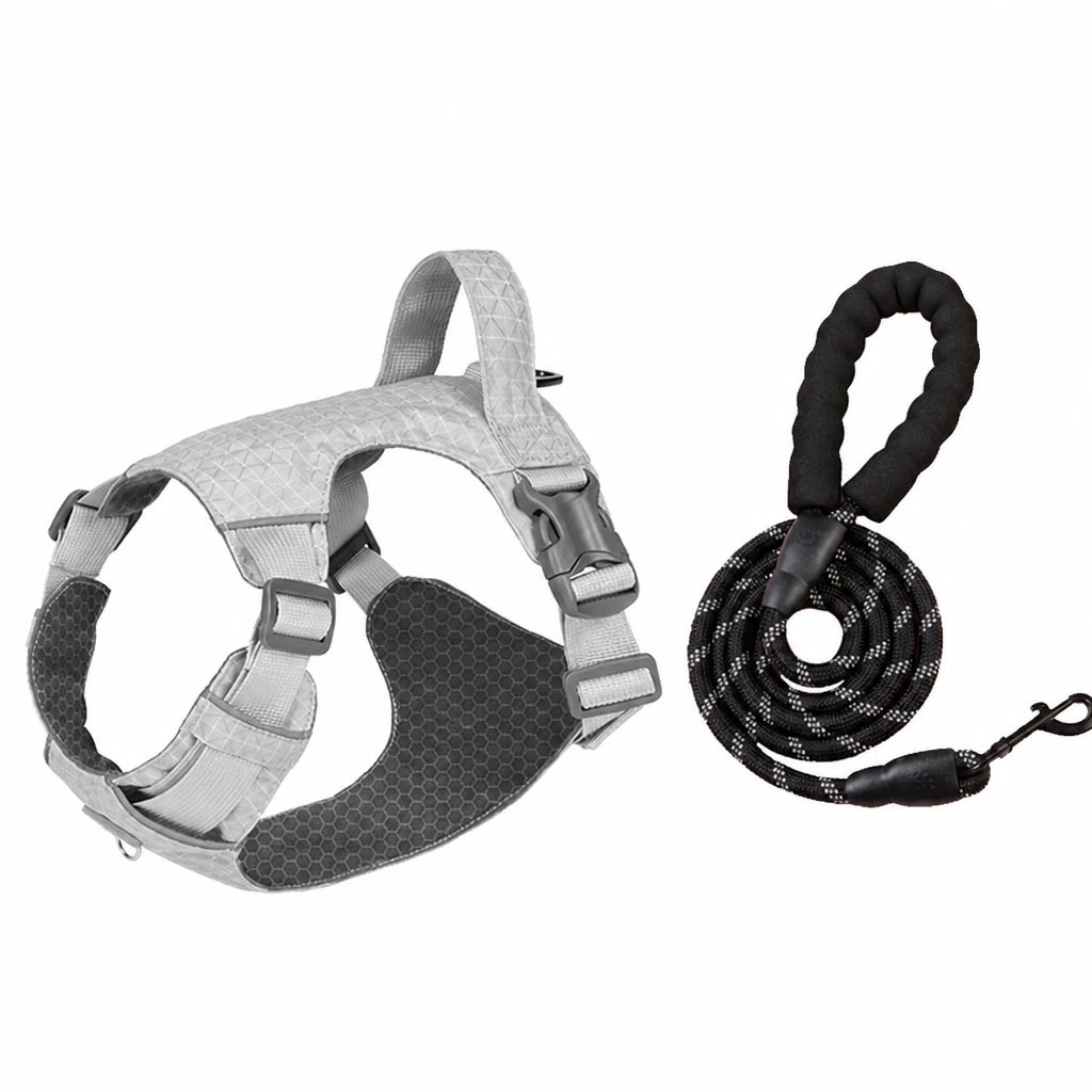 Adjustable Nylon Vest-Style Dog Harness with Matching Leash