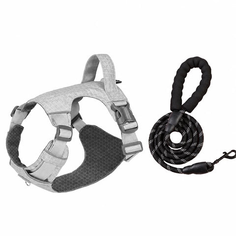 Adjustable Nylon Vest-Style Dog Harness with Matching Leash