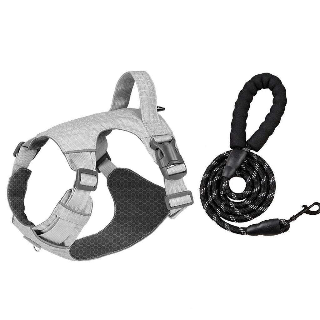 Adjustable Nylon Vest-Style Dog Harness with Matching Leash