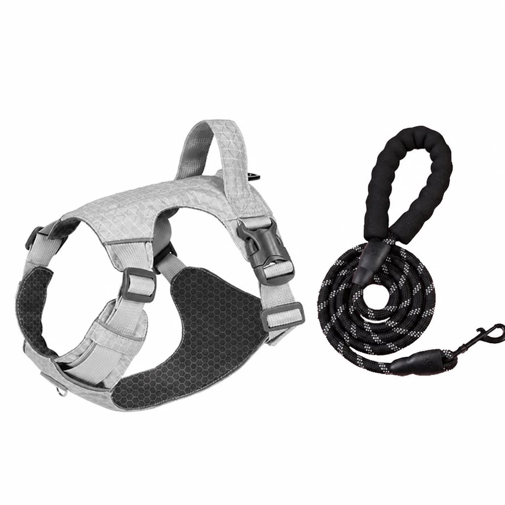 Adjustable Nylon Vest-Style Dog Harness with Matching Leash
