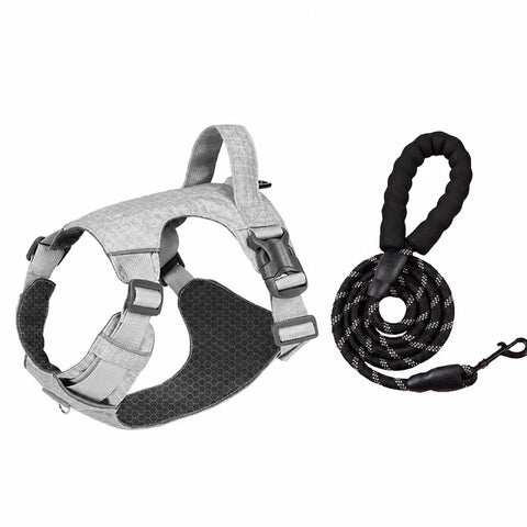 Adjustable Nylon Vest-Style Dog Harness with Matching Leash