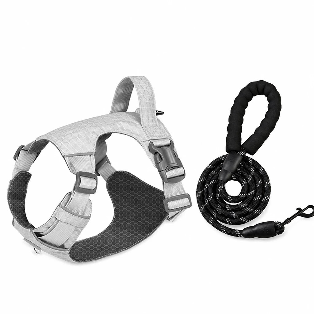 Adjustable Nylon Vest-Style Dog Harness with Matching Leash