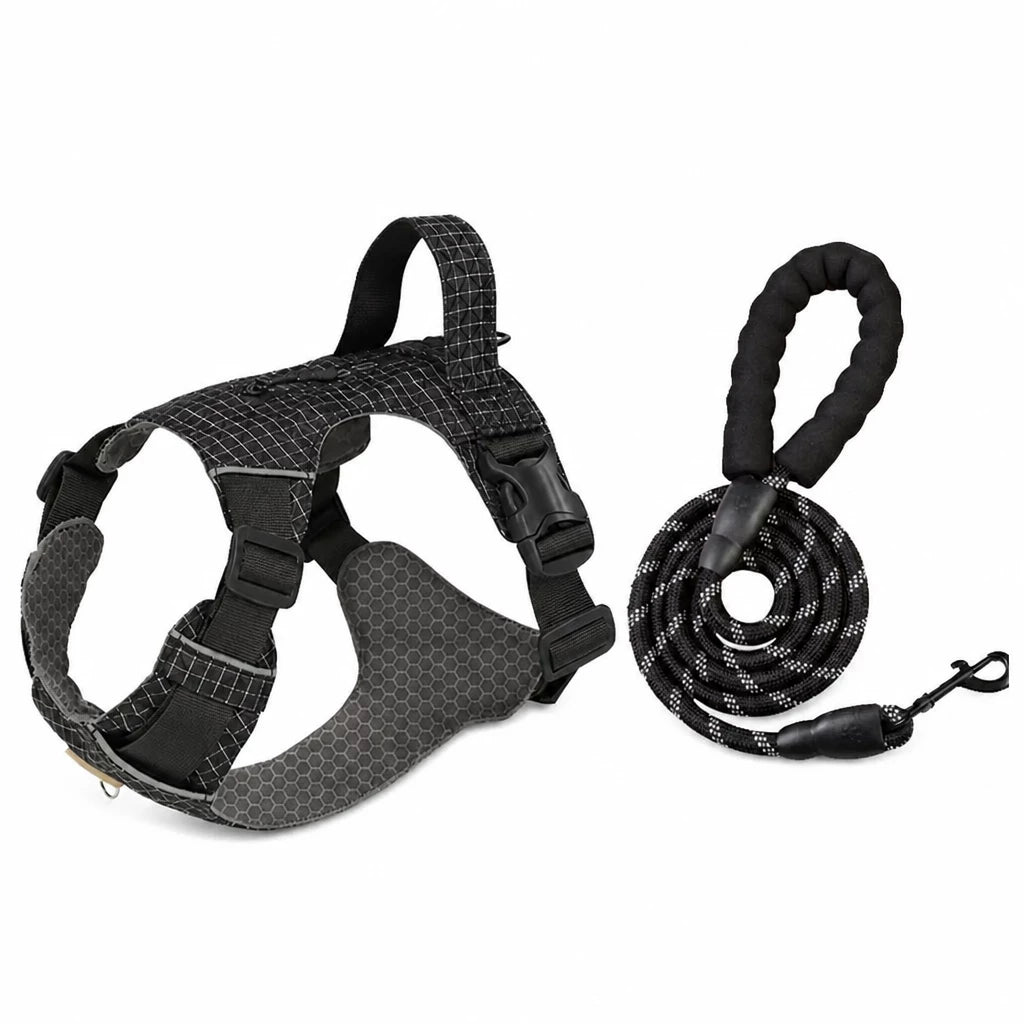 Adjustable Nylon Vest-Style Dog Harness with Matching Leash