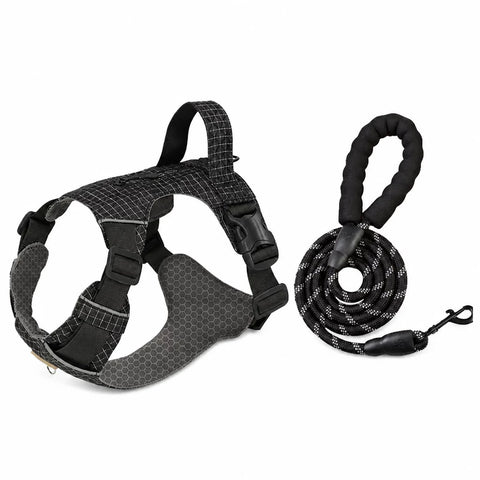Adjustable Nylon Vest-Style Dog Harness with Matching Leash