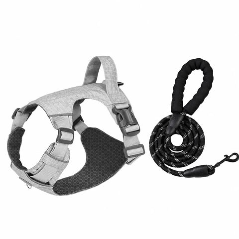 Adjustable Nylon Vest-Style Dog Harness with Matching Leash
