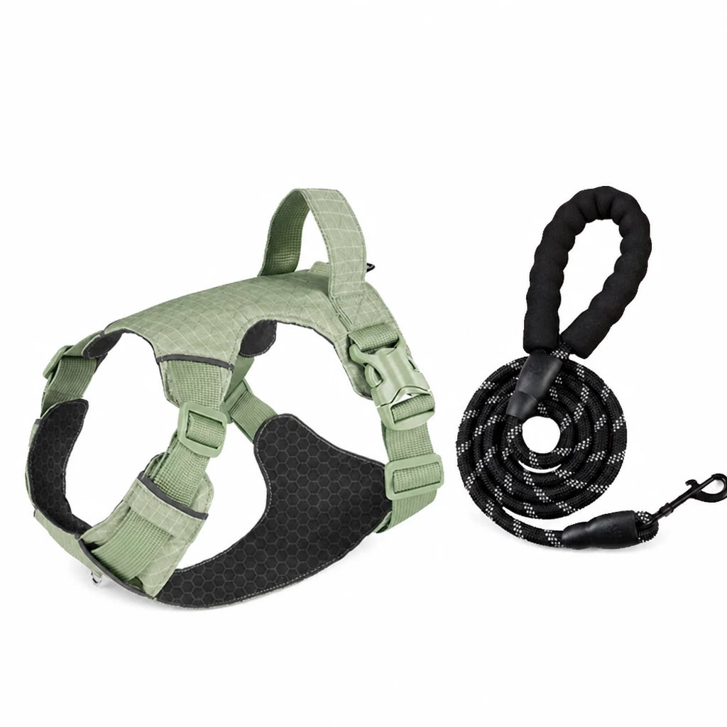 Adjustable Nylon Vest-Style Dog Harness with Matching Leash