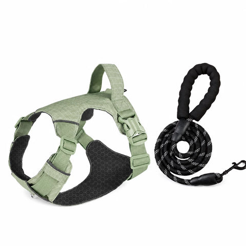 Adjustable Nylon Vest-Style Dog Harness with Matching Leash