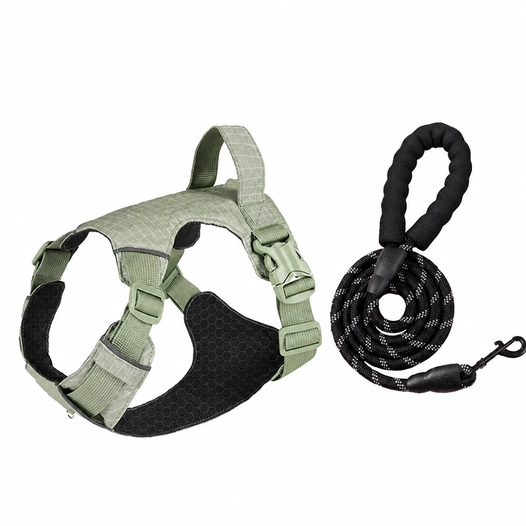 Adjustable Nylon Vest-Style Dog Harness with Matching Leash