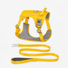 Lightweight Nylon Dog Harness and Leash Set