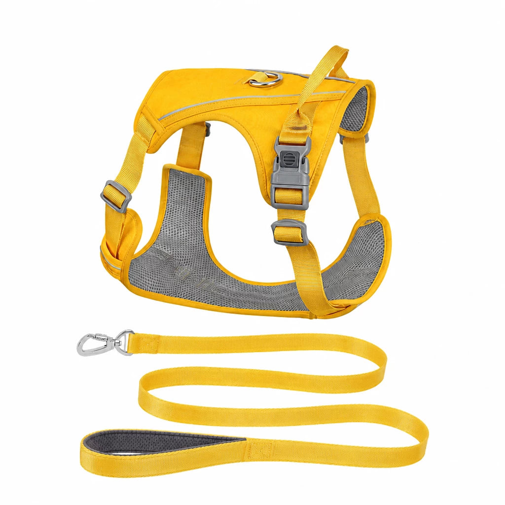 Lightweight Nylon Dog Harness and Leash Set