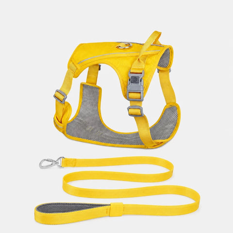 Lightweight Nylon Dog Harness and Leash Set