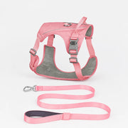Lightweight Nylon Dog Harness and Leash Set