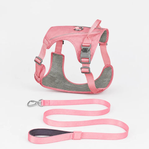 Lightweight Nylon Dog Harness and Leash Set
