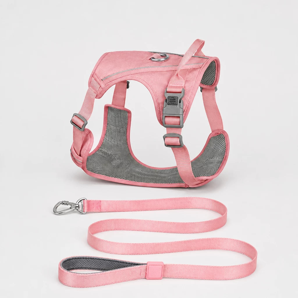 Lightweight Nylon Dog Harness and Leash Set