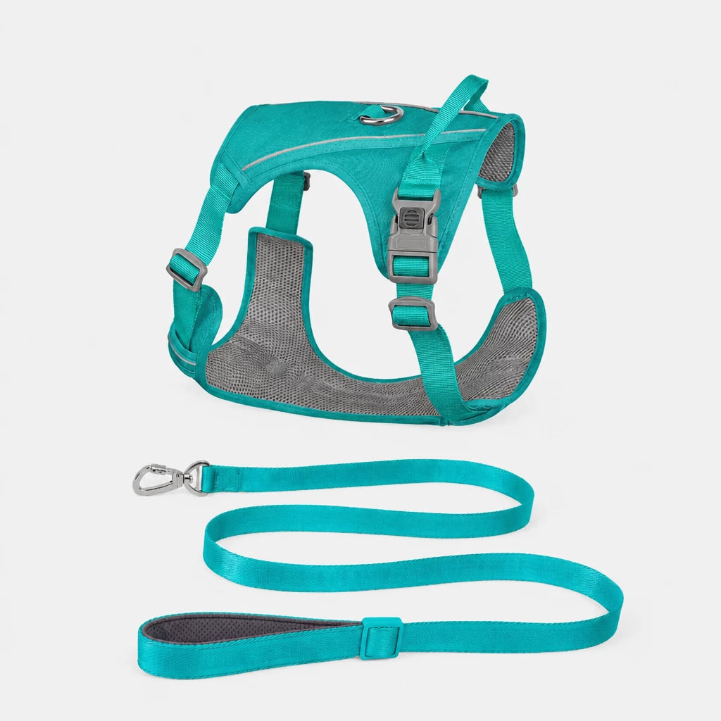 Lightweight Nylon Dog Harness and Leash Set