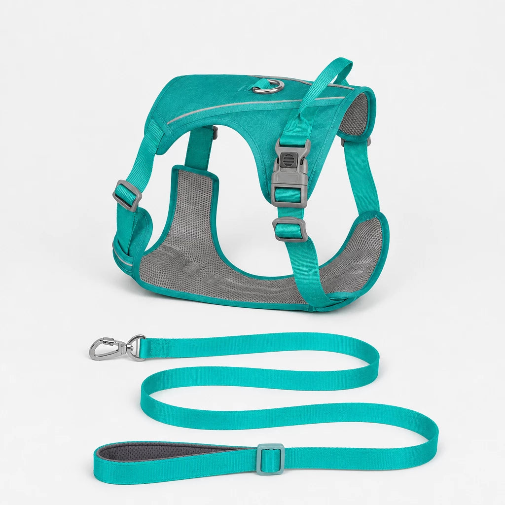 Lightweight Nylon Dog Harness and Leash Set