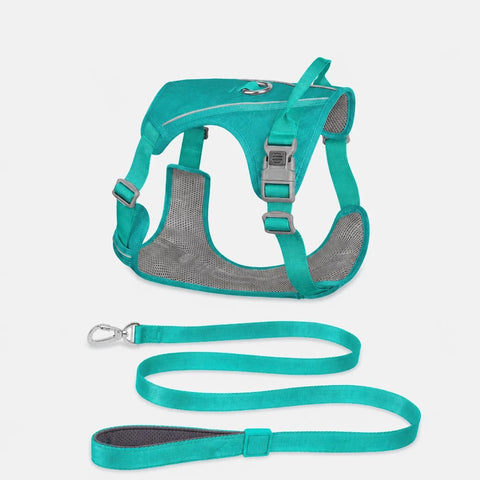 Lightweight Nylon Dog Harness and Leash Set