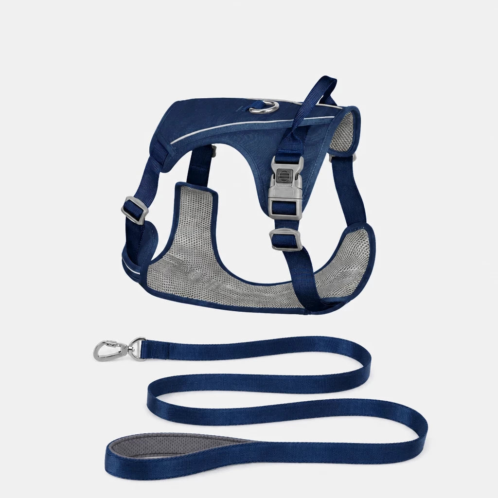 Lightweight Nylon Dog Harness and Leash Set