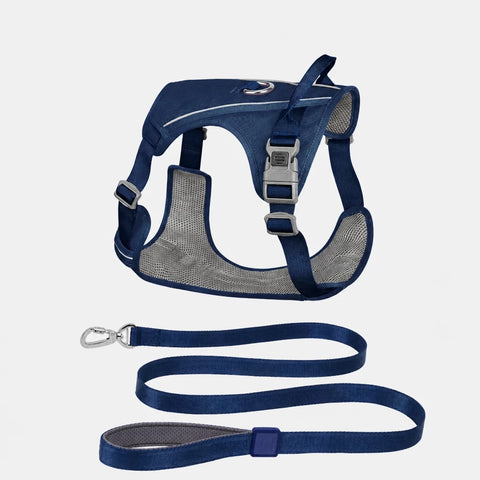 Lightweight Nylon Dog Harness and Leash Set
